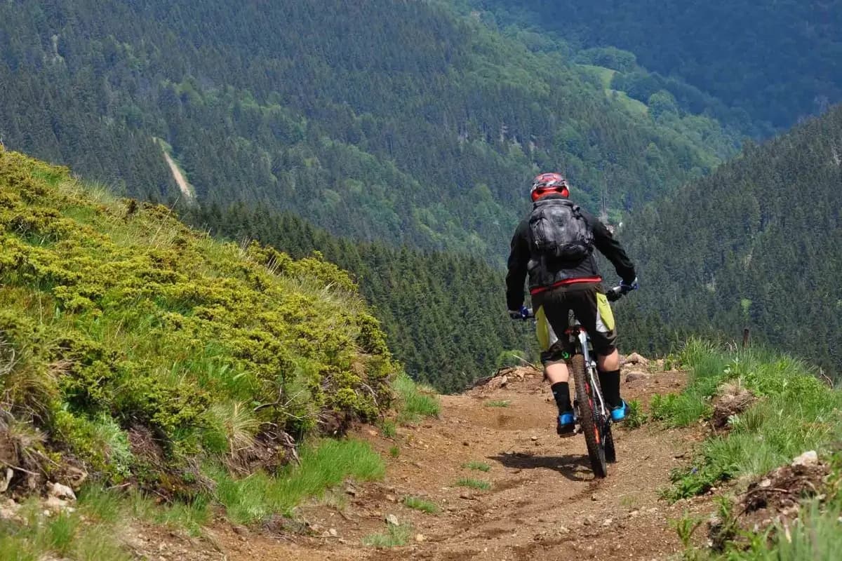 Mountain Biking on Kopaonik 1