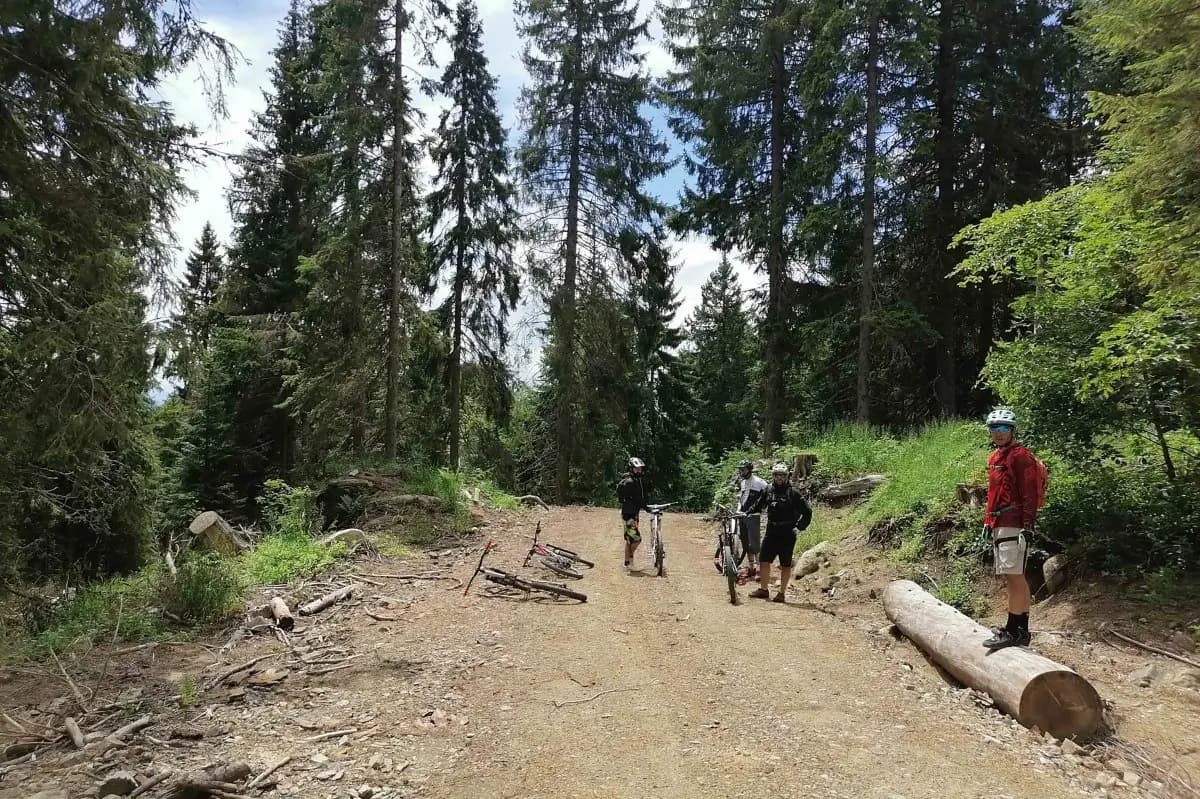 Mountain Biking on Kopaonik 2