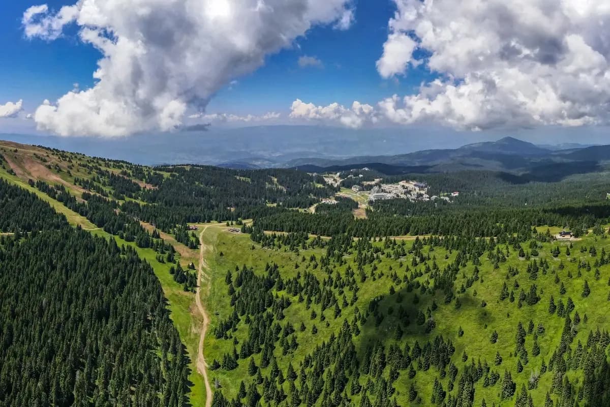 Planinarenje po nacionalnom parku Kopaonik 1