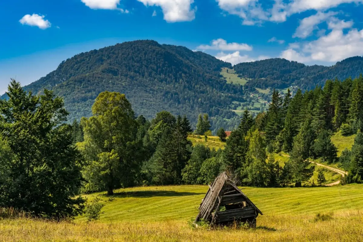 Planinarenje po nacionalnom parku Tara 5