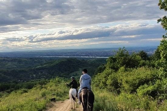 horse riding on Fruska gora