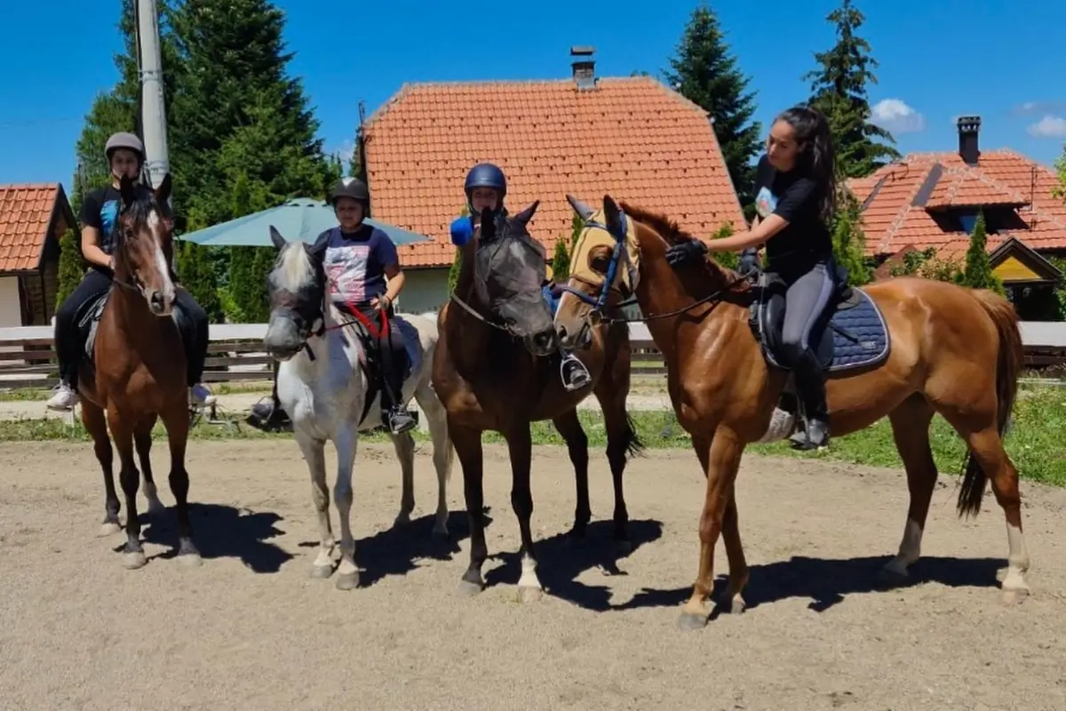 Jahanje konja na Tari 3