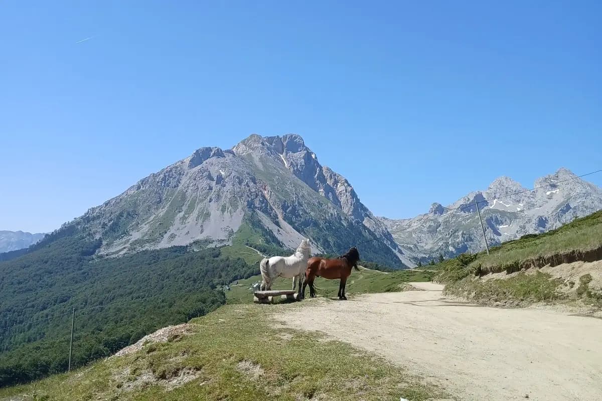 Planinarenje Komovi 1