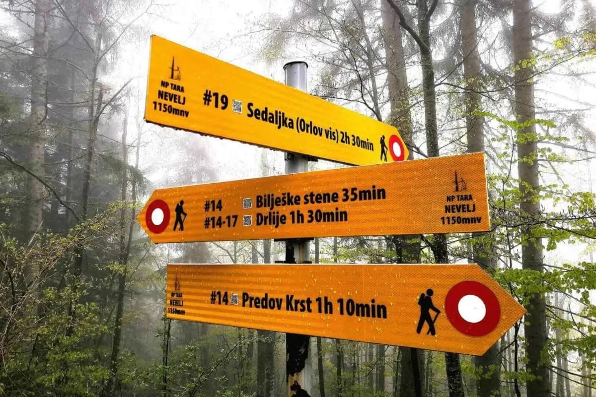 Planinarenje po nacionalnom parku Tara 4